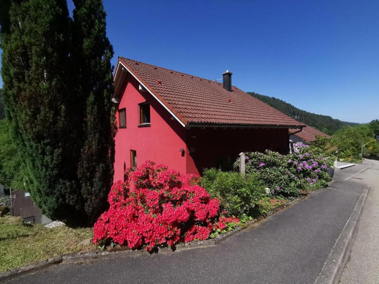 Ferienwohnung Am Rubersbach هورنبرغ المظهر الخارجي الصورة